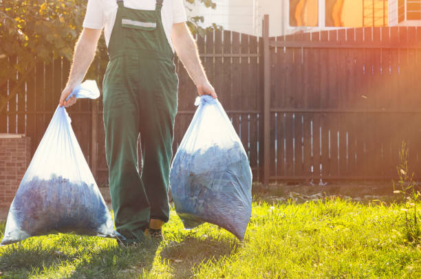 Best Shed Removal  in Bronte, TX